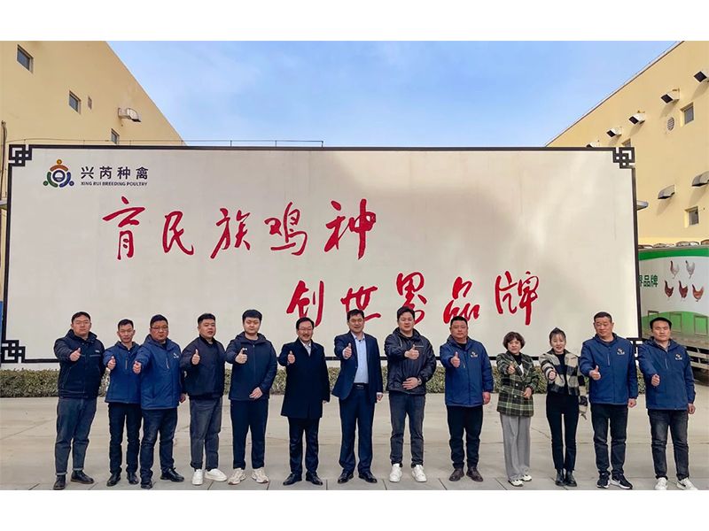 參觀學習促進步 交流合作贏發(fā)展︱卓一牧業(yè)赴興芮種禽、峪口禽業(yè)與瑞普生物參觀訪學